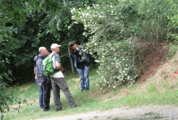 ESCURSIONI GUIDATE NEL BOSCO