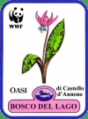 logo oasi boscolago