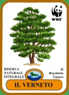 logo riserva il verneto